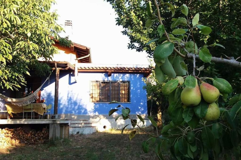 Campoleone Country House Tra Lago E Mare A Sud Di Roma 빌라 외부 사진