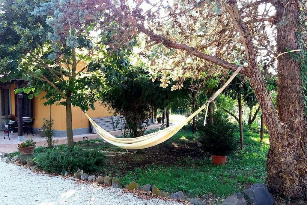 Campoleone Country House Tra Lago E Mare A Sud Di Roma 빌라 외부 사진